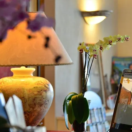 Cit'hotel Logis De Brou, En Bresse Hotel 3*