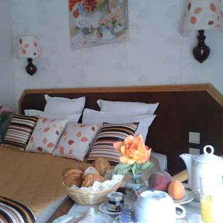 Cit'hotel Logis De Brou, En Bresse Hotel 3*