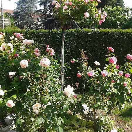 Cit'hotel Logis De Brou, En Bresse 3* Bourg-en-Bresse