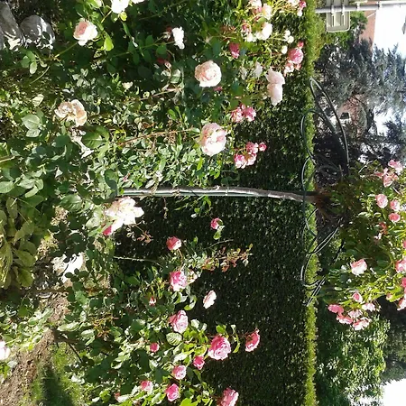 Cit'hotel Logis De Brou, En Bresse